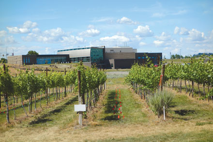 WSU Vineyard Building