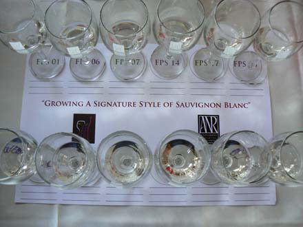 Sauvignon Blanc trial clones
