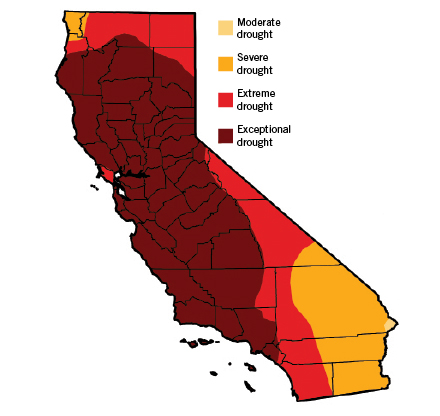 CA drought